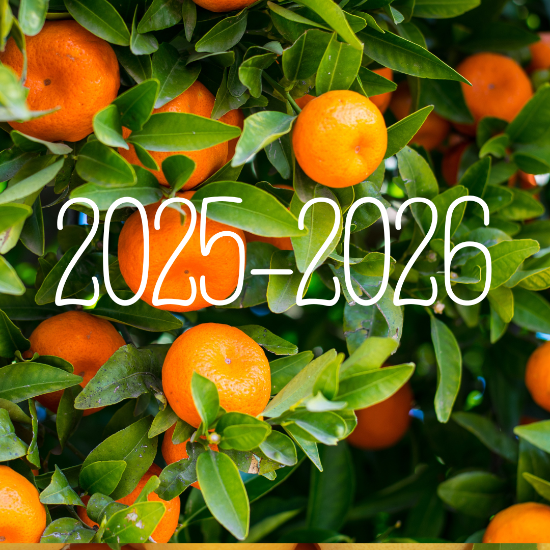 Aromaneuvoja-koulutus 2025-2026