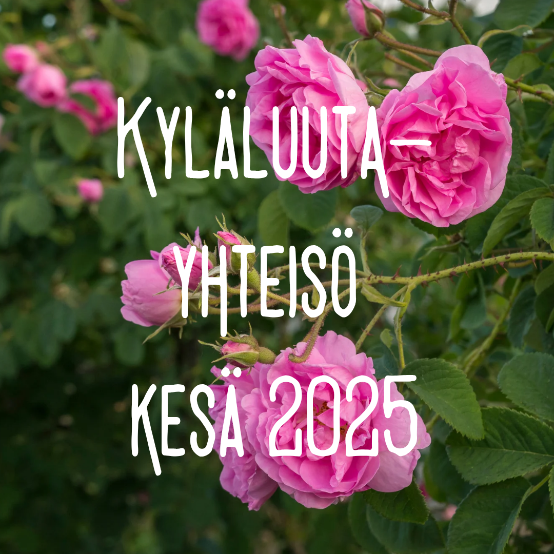 Kyläluuta-yhteisö (Kesä 2025)