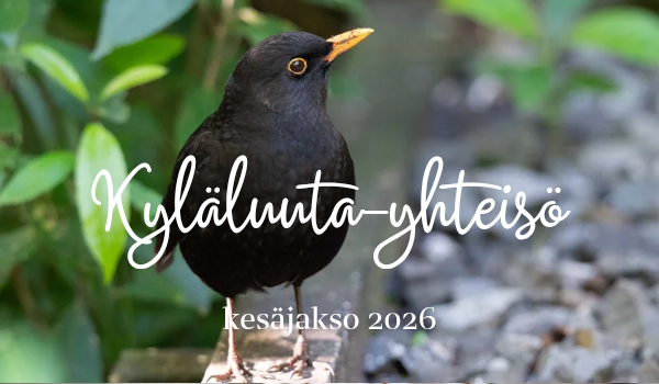 Kyläluuta-yhteisö (kesäjakso 2026)