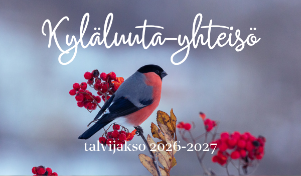 Kyläluuta-yhteisö (talvi 2026-2027)