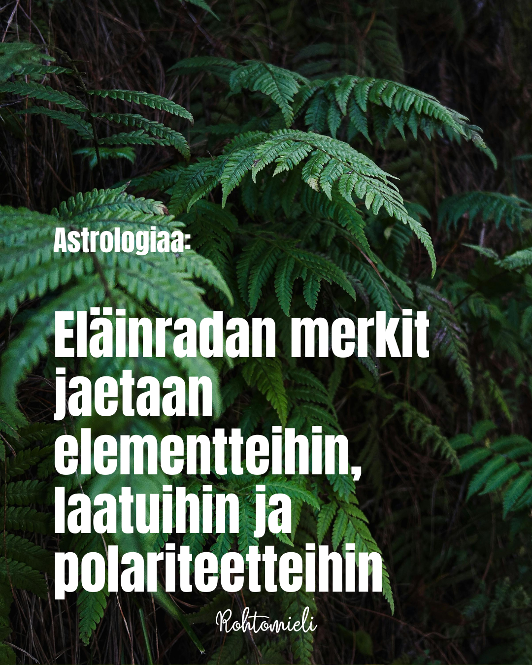 Astrologia: Elementit, laadut ja polariteetit