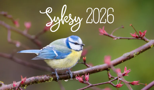 Kyläluuta-yhteisö (syksy 2026)