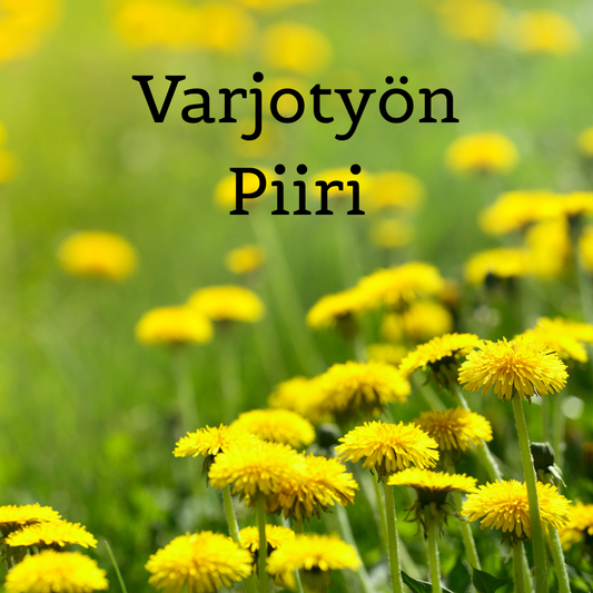 Varjotyö 2025-2026