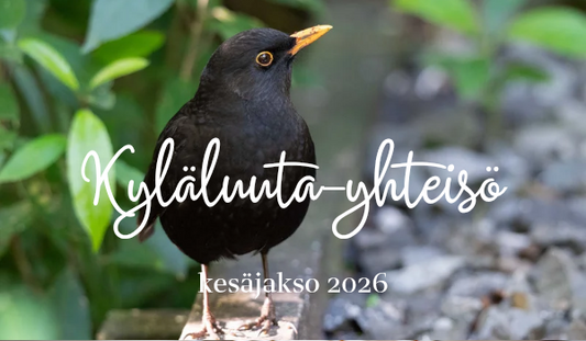 Kyläluuta-yhteisö (kesäjakso 2026)